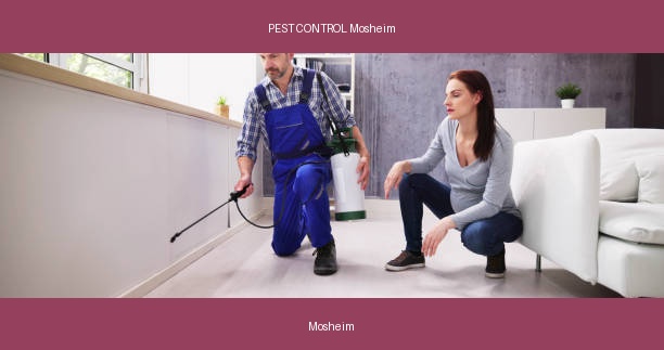 PEST CONTROL Mosheim